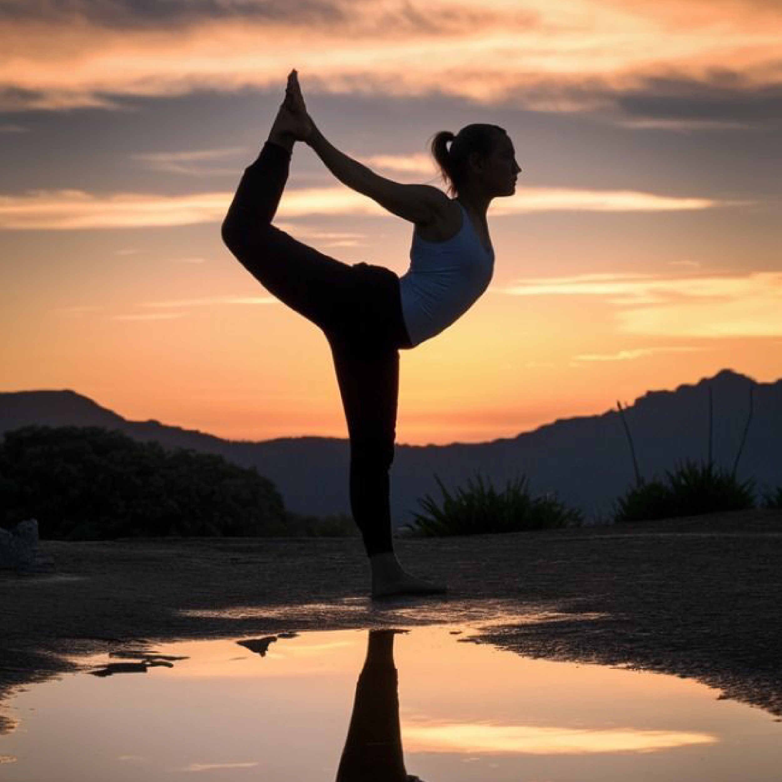 WhatsApp Image 2024-12-09 at 12.56.06 PMءء-13